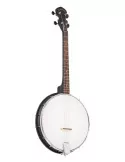  GOLD TONE AC-4 IT Akustik Komposit 4-Saiter Open Back Irish Tenor Banjo mit Gigbag|MusicGoodDeal 