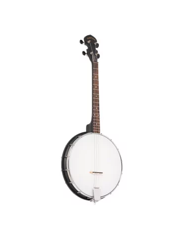  GOLD TONE AC-4 IT Akustik Komposit 4-Saiter Open Back Irish Tenor Banjo mit Gigbag|MusicGoodDeal  2