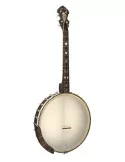  GOLD TONE IT-17 Irisches Tenor Banjo mit 12" Pot Tasche inkludiert|MusicGoodDeal 