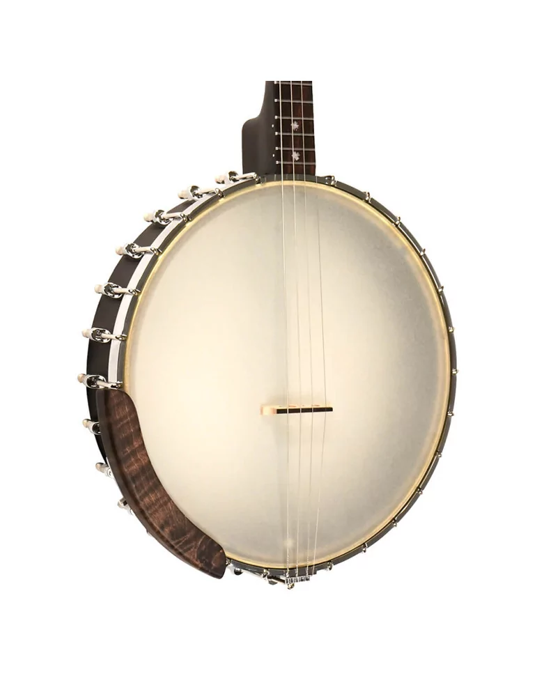  GOLD TONE IT-17 Banjo tenor irlandés con mango de 30 cm y bolsa incluida|MusicGoodDeal 