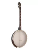  GOLD TONE IT-19 Banjo tenor irlandés con 19 trastes, estuche incluido|MusicGoodDeal 