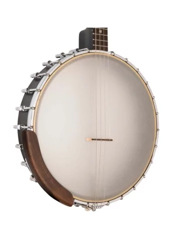 GOLD TONE IT-19 Irish tenor banjo with 19 frets, bag included|MusicGoodDeal  2