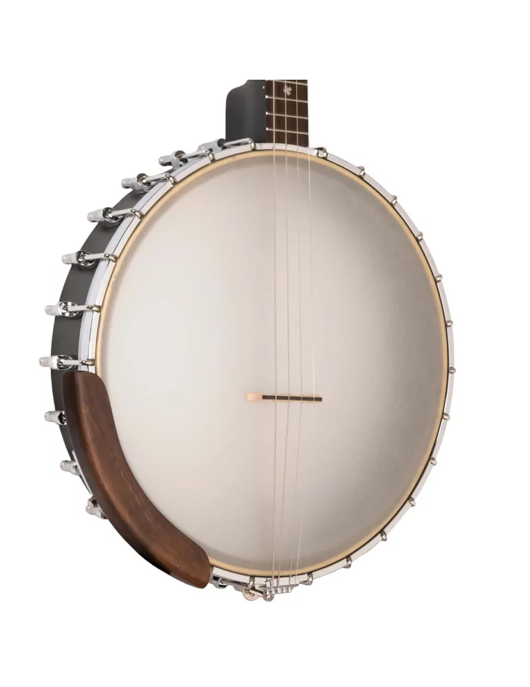  GOLD TONE IT-19 Irish tenor banjo with 19 frets, bag included|MusicGoodDeal 