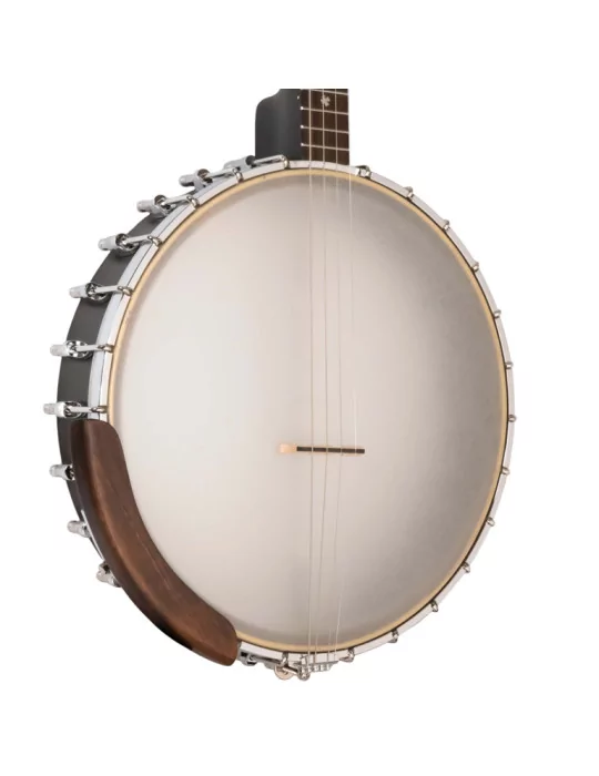  GOLD TONE IT-19 Irish tenor banjo with 19 frets, bag included|MusicGoodDeal 