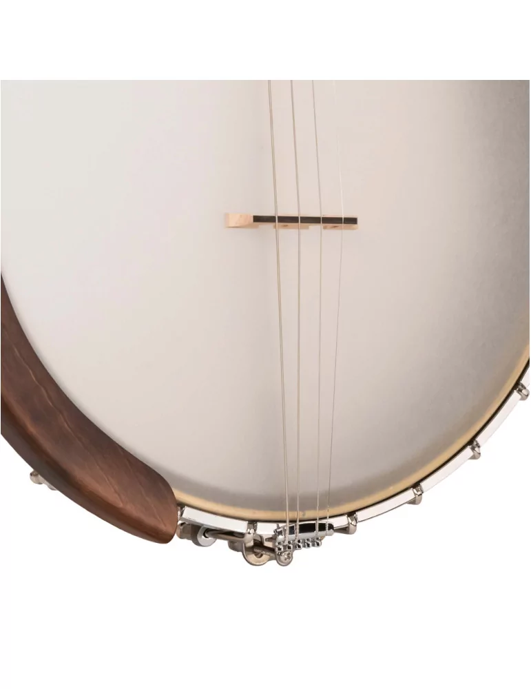  GOLD TONE IT-19 Irish tenor banjo with 19 frets, bag included|MusicGoodDeal 