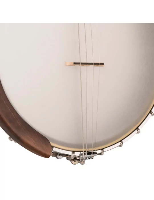  GOLD TONE IT-19 Irish tenor banjo with 19 frets, bag included|MusicGoodDeal 