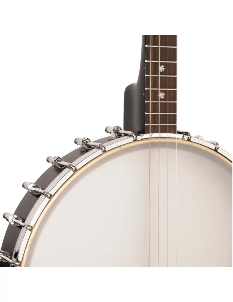  GOLD TONE IT-19 Irish tenor banjo with 19 frets, bag included|MusicGoodDeal 