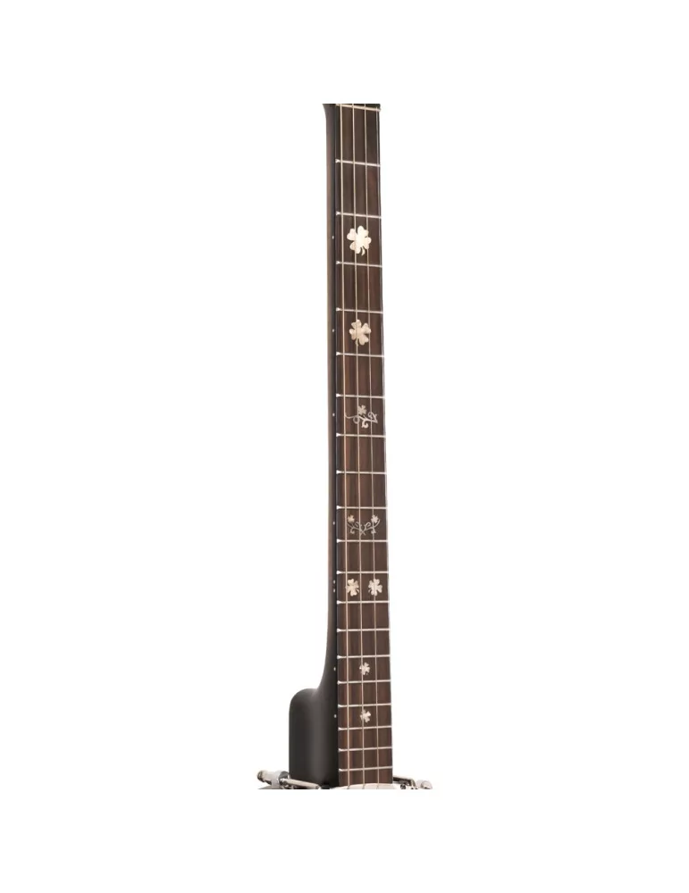  GOLD TONE IT-19 Irish tenor banjo with 19 frets, bag included|MusicGoodDeal 