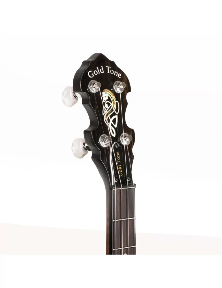  GOLD TONE IT-19 Irish tenor banjo with 19 frets, bag included|MusicGoodDeal 
