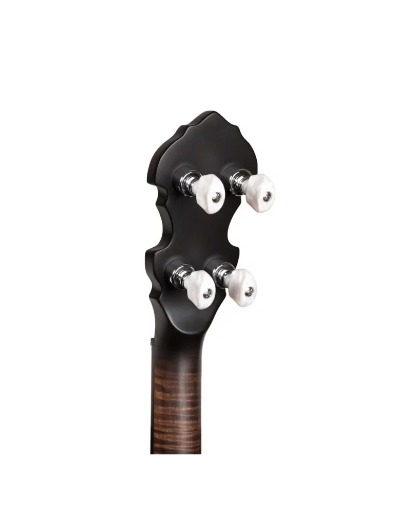  GOLD TONE IT-19 Irish tenor banjo with 19 frets, bag included|MusicGoodDeal 