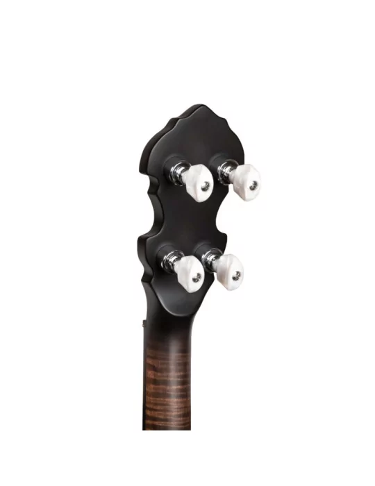  GOLD TONE IT-19 Irish tenor banjo with 19 frets, bag included|MusicGoodDeal 
