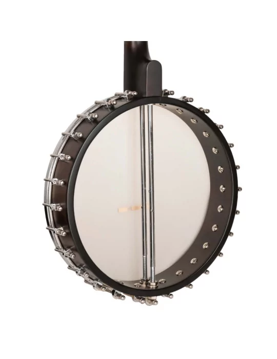  GOLD TONE IT-19 Irish tenor banjo with 19 frets, bag included|MusicGoodDeal 