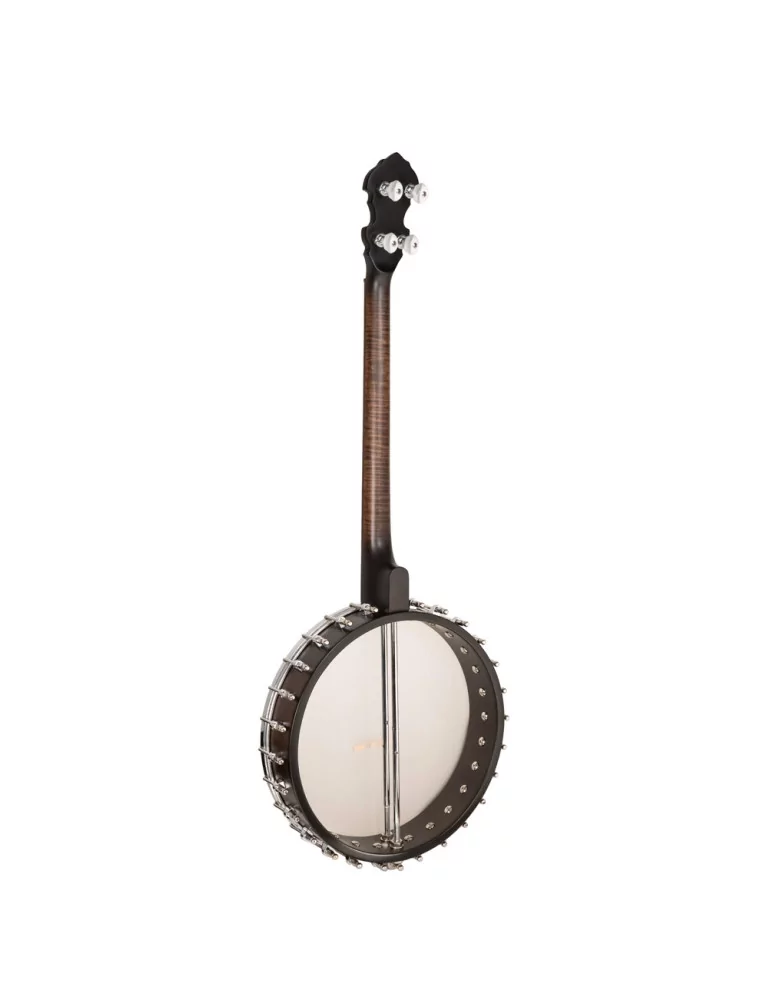  GOLD TONE IT-19 Irish tenor banjo with 19 frets, bag included|MusicGoodDeal 