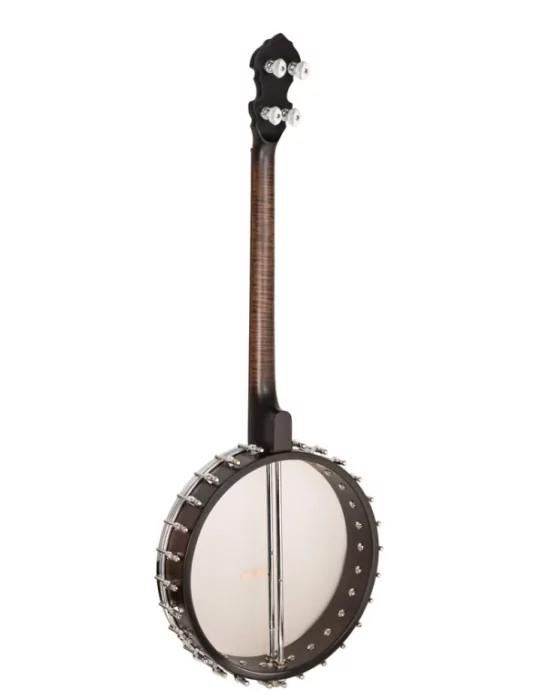  GOLD TONE IT-19 Irish tenor banjo with 19 frets, bag included|MusicGoodDeal 