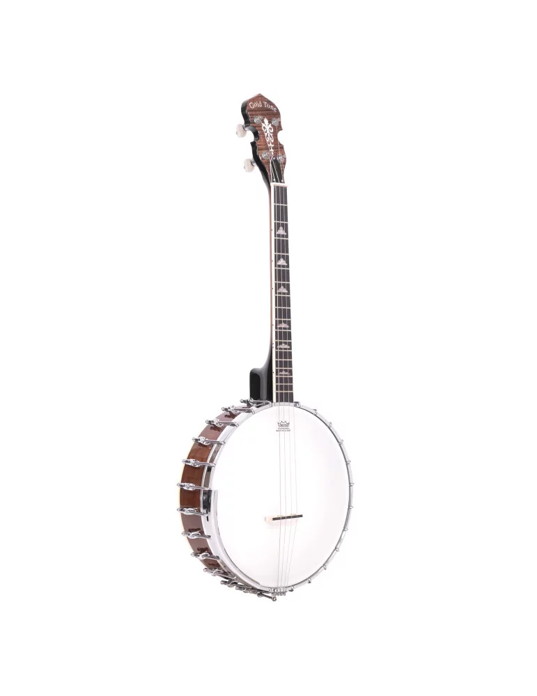  GOLD TONE IT-250 Irish tenor banjo and hardshell case|MusicGoodDeal 