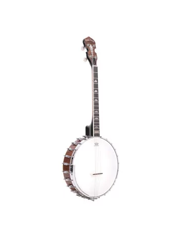 GOLD TONE IT-250 Irish tenor banjo and hardshell case|MusicGoodDeal  2
