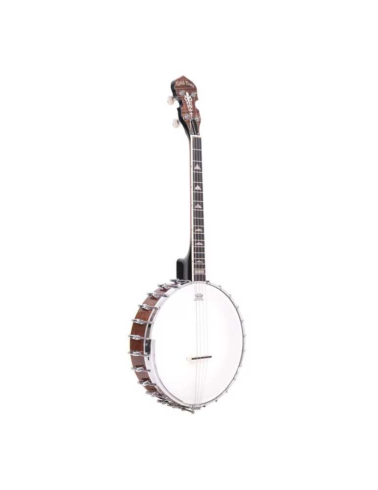  GOLD TONE IT-250 Irish tenor banjo and hardshell case|MusicGoodDeal 