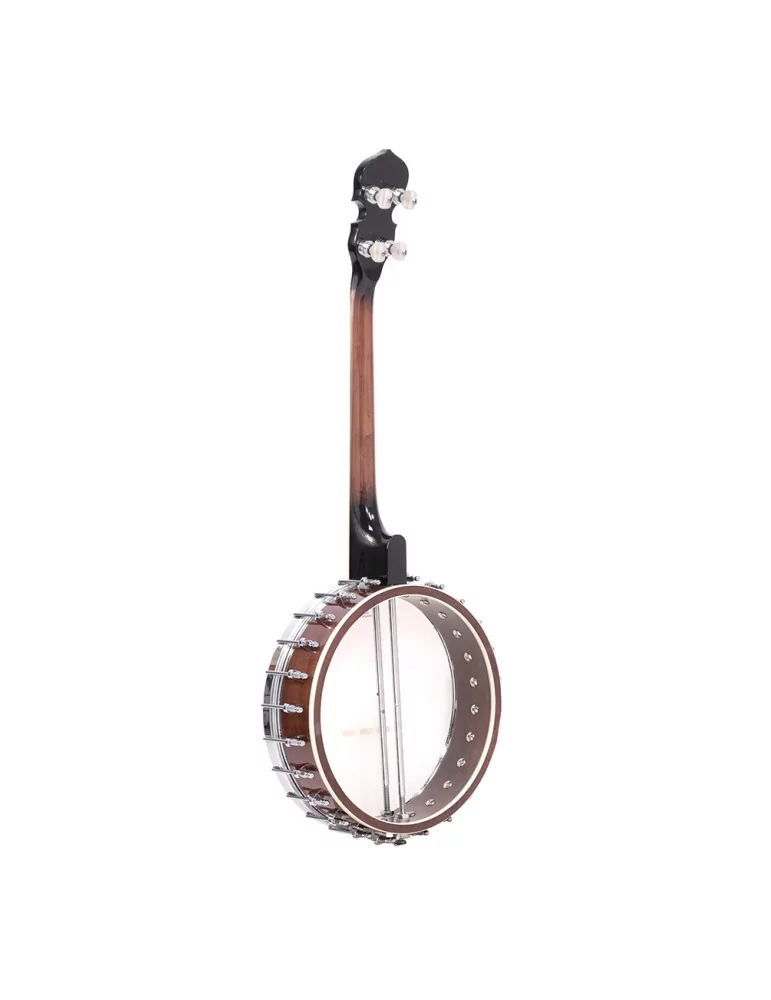 GOLD TONE IT-250 Irish tenor banjo and hardshell case|MusicGoodDeal 