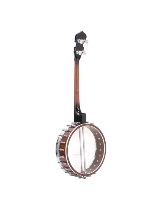  GOLD TONE IT-250 Irish tenor banjo and hardshell case|MusicGoodDeal 