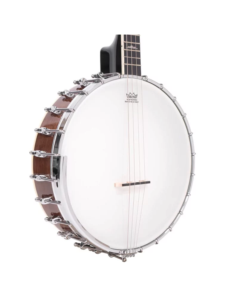  GOLD TONE IT-250 Irish tenor banjo and hardshell case|MusicGoodDeal 