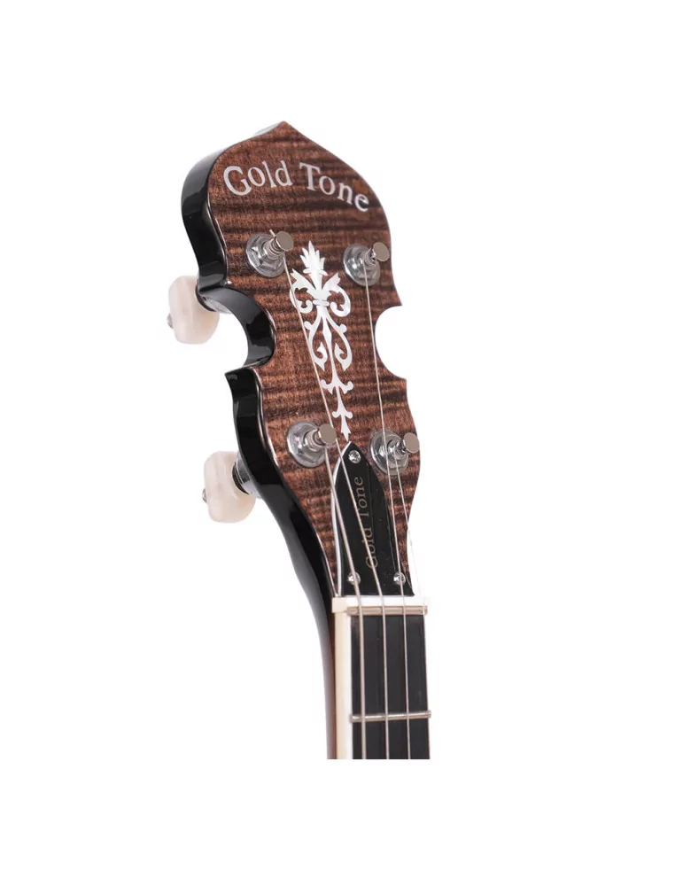  GOLD TONE IT-250 Irish tenor banjo and hardshell case|MusicGoodDeal 