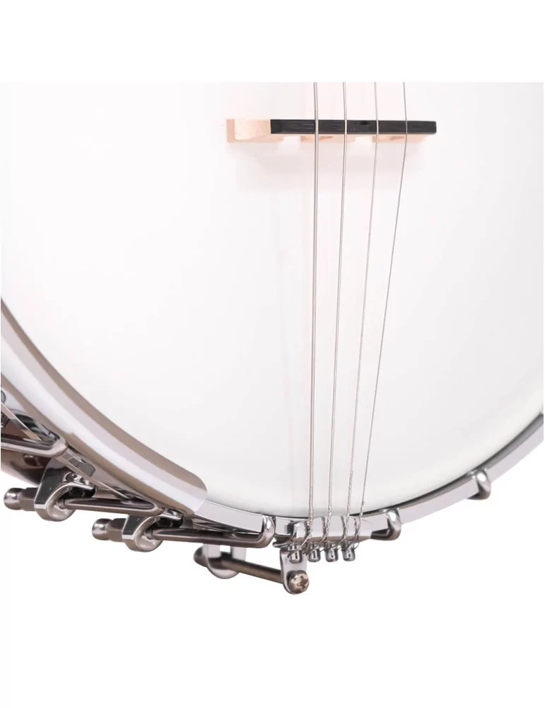  GOLD TONE IT-250 Irish tenor banjo and hardshell case|MusicGoodDeal 