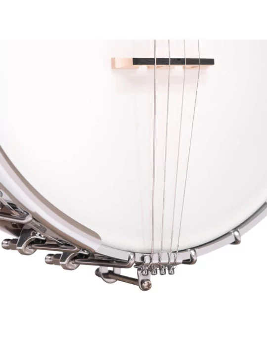  GOLD TONE IT-250 Irish tenor banjo and hardshell case|MusicGoodDeal 