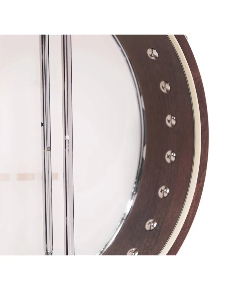  GOLD TONE IT-250 Irish tenor banjo and hardshell case|MusicGoodDeal 
