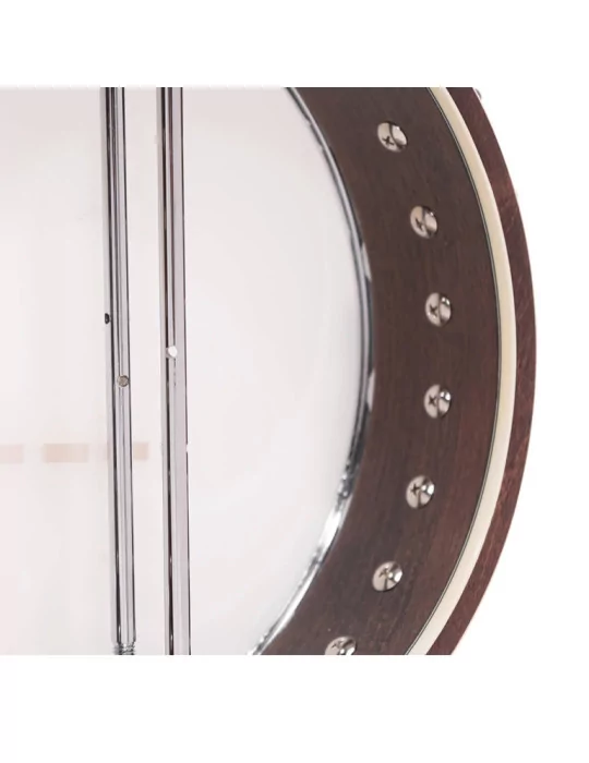  GOLD TONE IT-250 Irish tenor banjo and hardshell case|MusicGoodDeal 