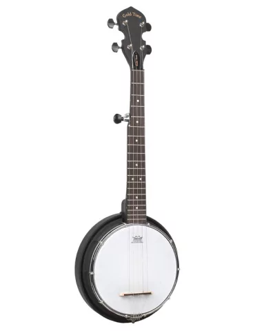 GOLD TONE AC-MINI | MusicGoodDeal