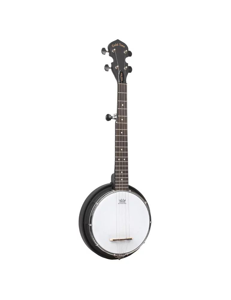 GOLD TONE AC-MINI | MusicGoodDeal
