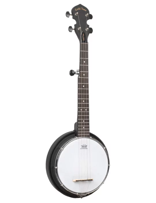GOLD TONE AC-MINI | MusicGoodDeal