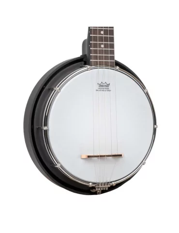 GOLD TONE AC-MINI | MusicGoodDeal 2