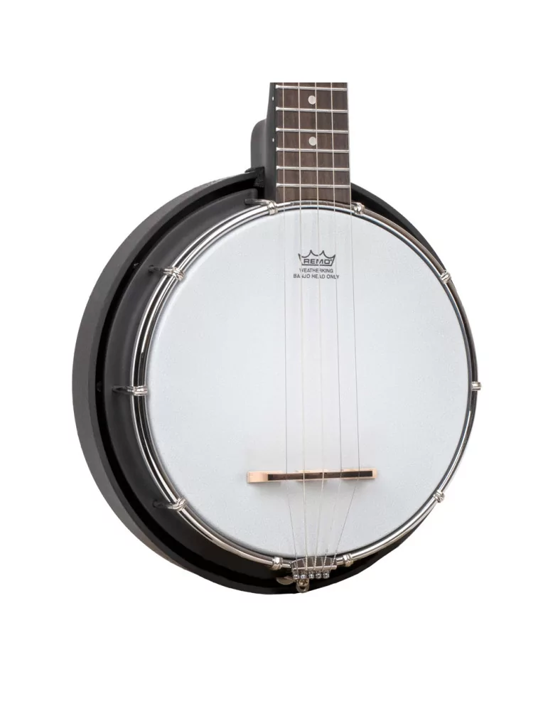 GOLD TONE AC-MINI | MusicGoodDeal