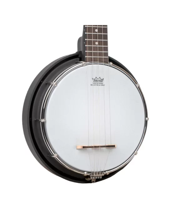 GOLD TONE AC-MINI | MusicGoodDeal
