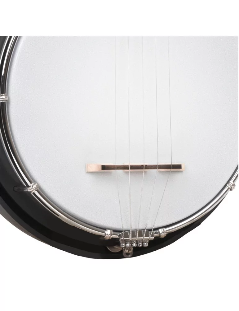 GOLD TONE AC-MINI | MusicGoodDeal