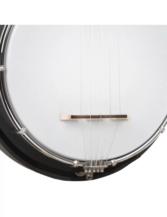 GOLD TONE AC-MINI | MusicGoodDeal