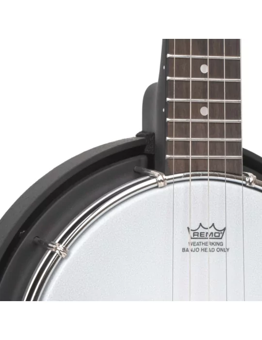 GOLD TONE AC-MINI | MusicGoodDeal