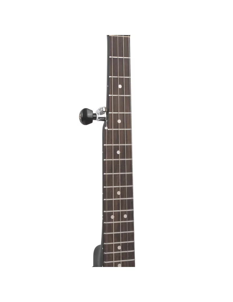 GOLD TONE AC-MINI | MusicGoodDeal