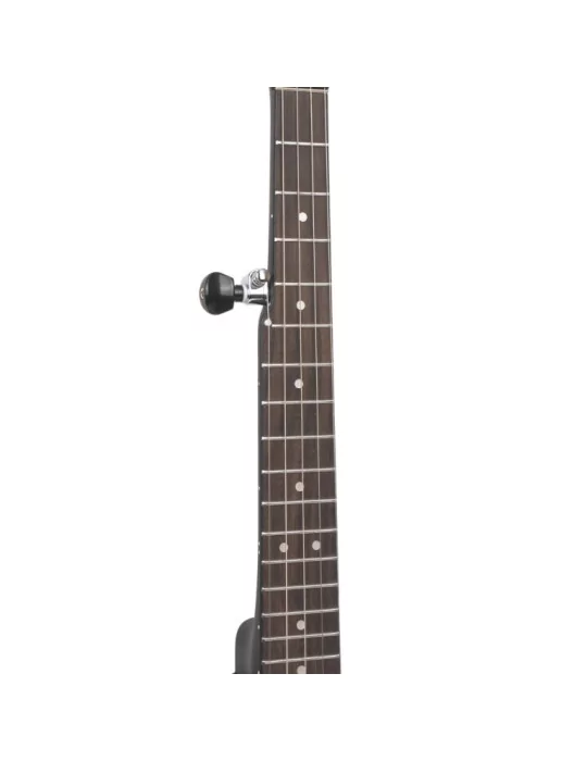 GOLD TONE AC-MINI | MusicGoodDeal