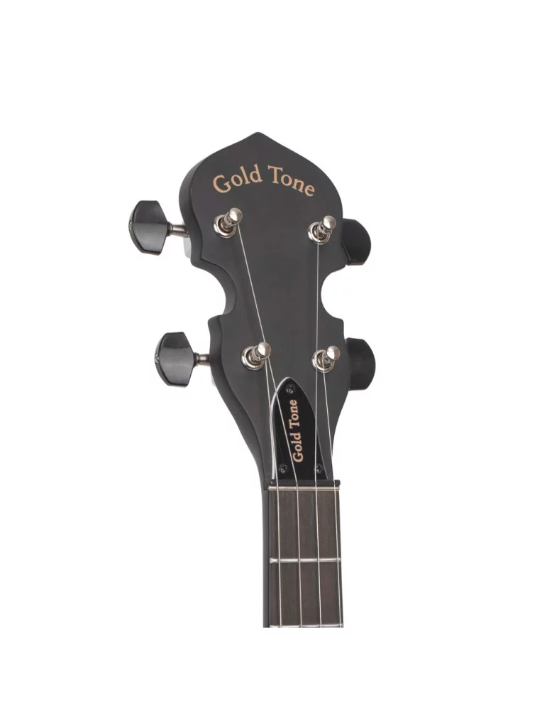 GOLD TONE AC-MINI | MusicGoodDeal