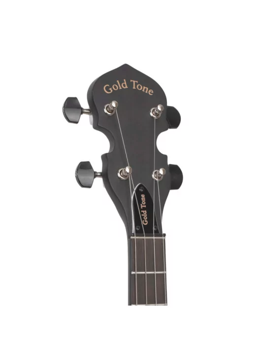 GOLD TONE AC-MINI | MusicGoodDeal