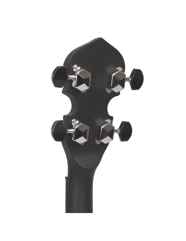 GOLD TONE AC-MINI | MusicGoodDeal
