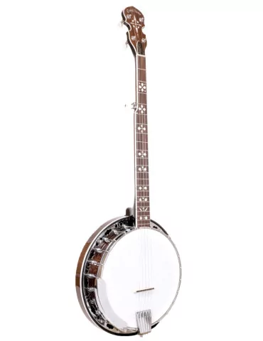  GOLD TONE BG-150F Banjo Bluegrass de 5 cuerdas con estuche rígido|MusicGoodDeal 