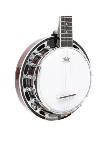 GOLD TONE BG-MINI | MusicGoodDeal 2