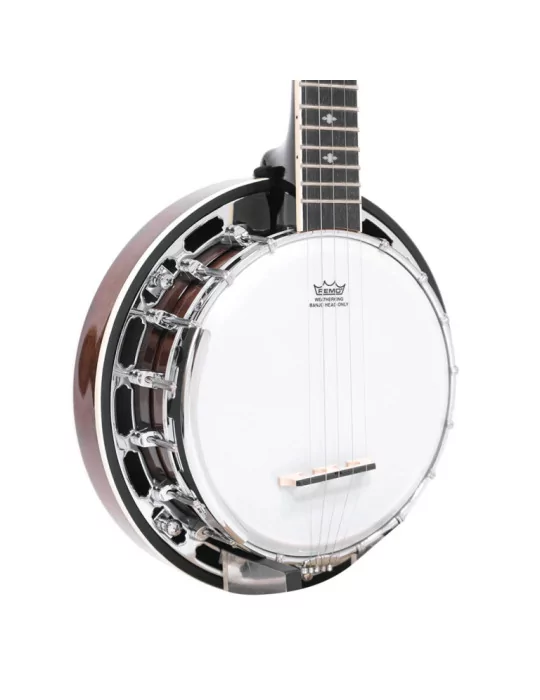 GOLD TONE BG-MINI | MusicGoodDeal