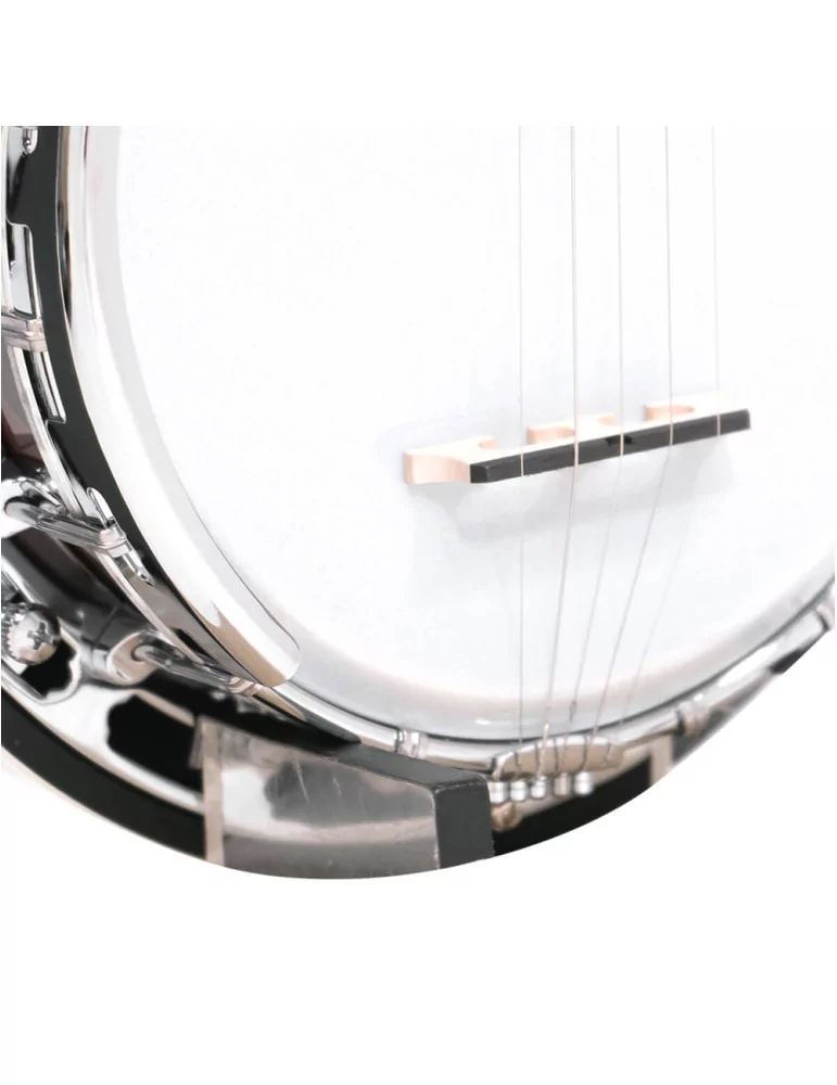 GOLD TONE BG-MINI | MusicGoodDeal