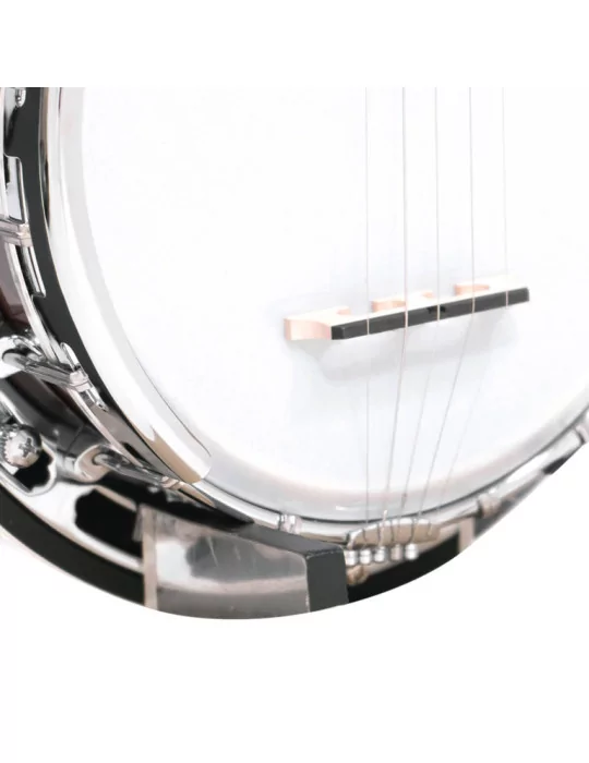 GOLD TONE BG-MINI | MusicGoodDeal