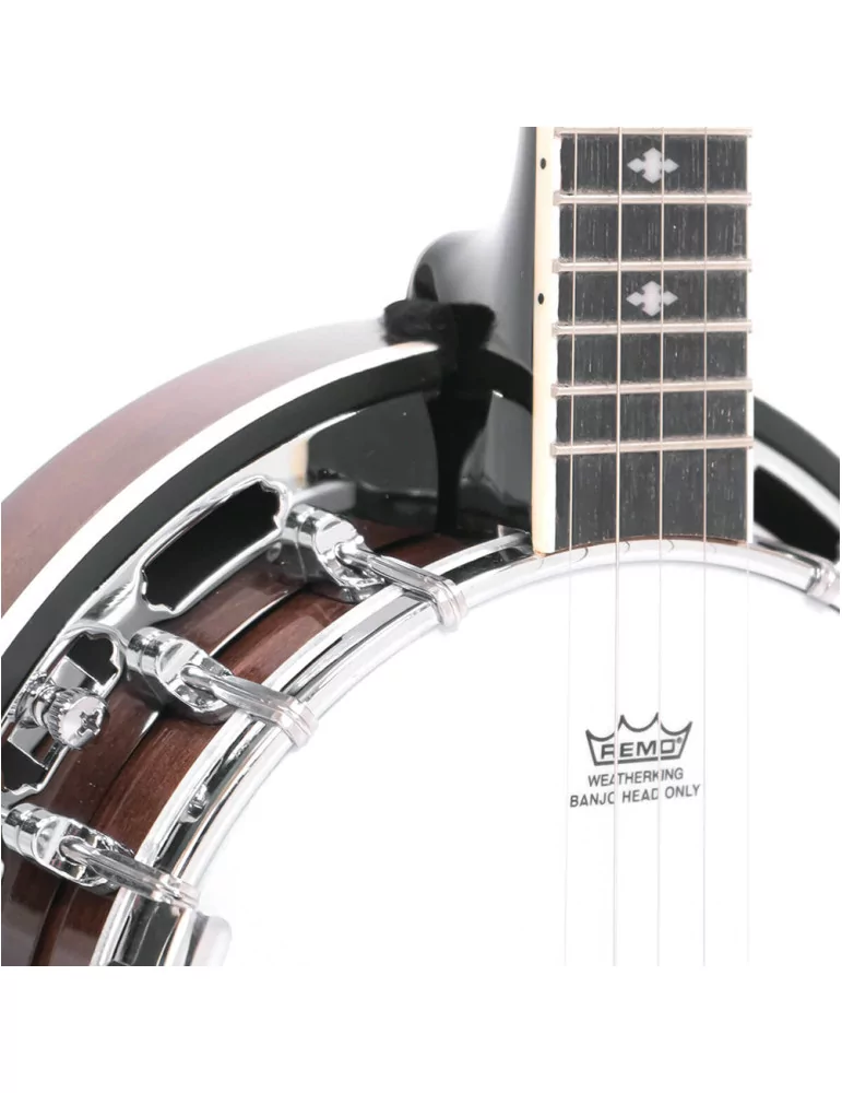 GOLD TONE BG-MINI | MusicGoodDeal