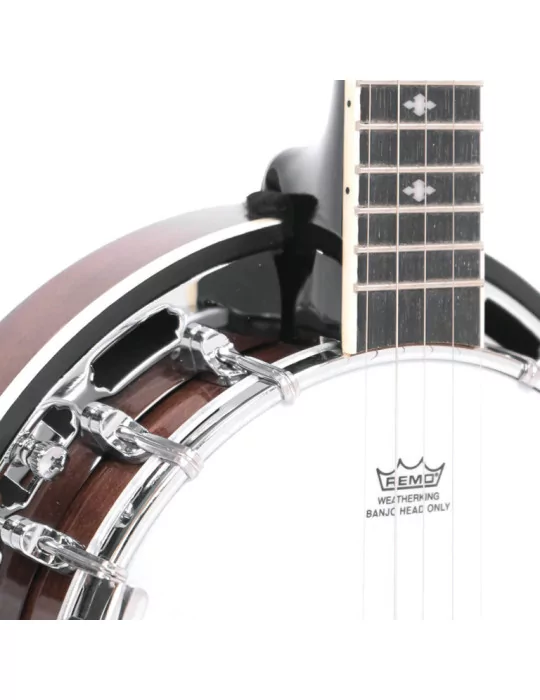 GOLD TONE BG-MINI | MusicGoodDeal